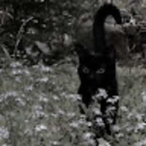 Meet your Posher, Paige